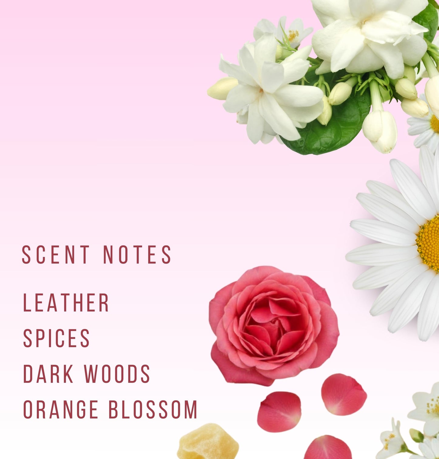 HVNLY Blossom EDP | Perfume For Women | An Ideal Gift | Long Lasting Premium Floral Fragrance | Bergamot, Pink Peppercorn, Patchouli | Best For Office Wear, Daily Wear | 3.4 fl.oz