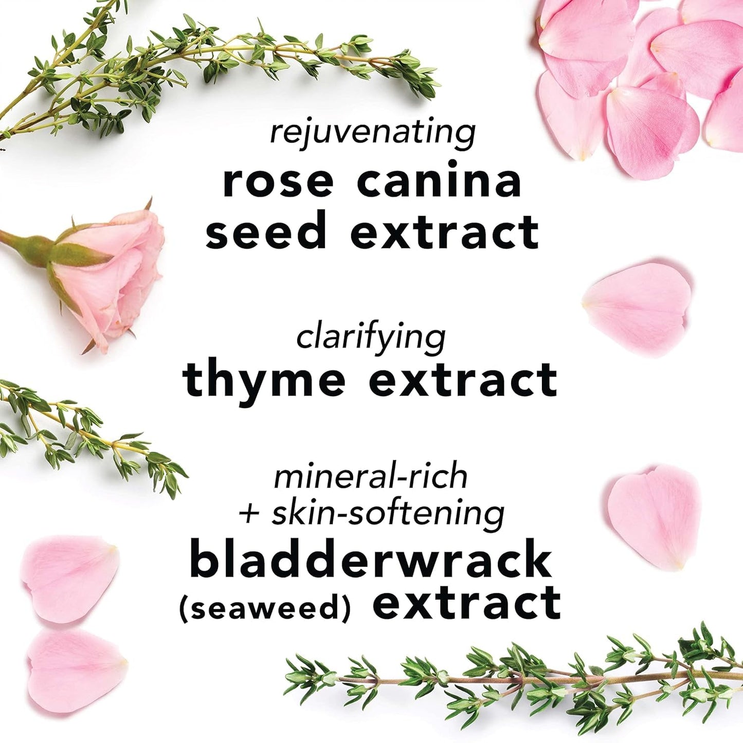 Mario Badescu Rose Water Facial Spray & Rose Lip Balm Bundle | Hydrating Aloe & Rosewater Face Mist + Ultra-Nourishing Lip Moisturizer with Coconut Oil & Shea Butter | Softens, Smooths & Rejuvenates