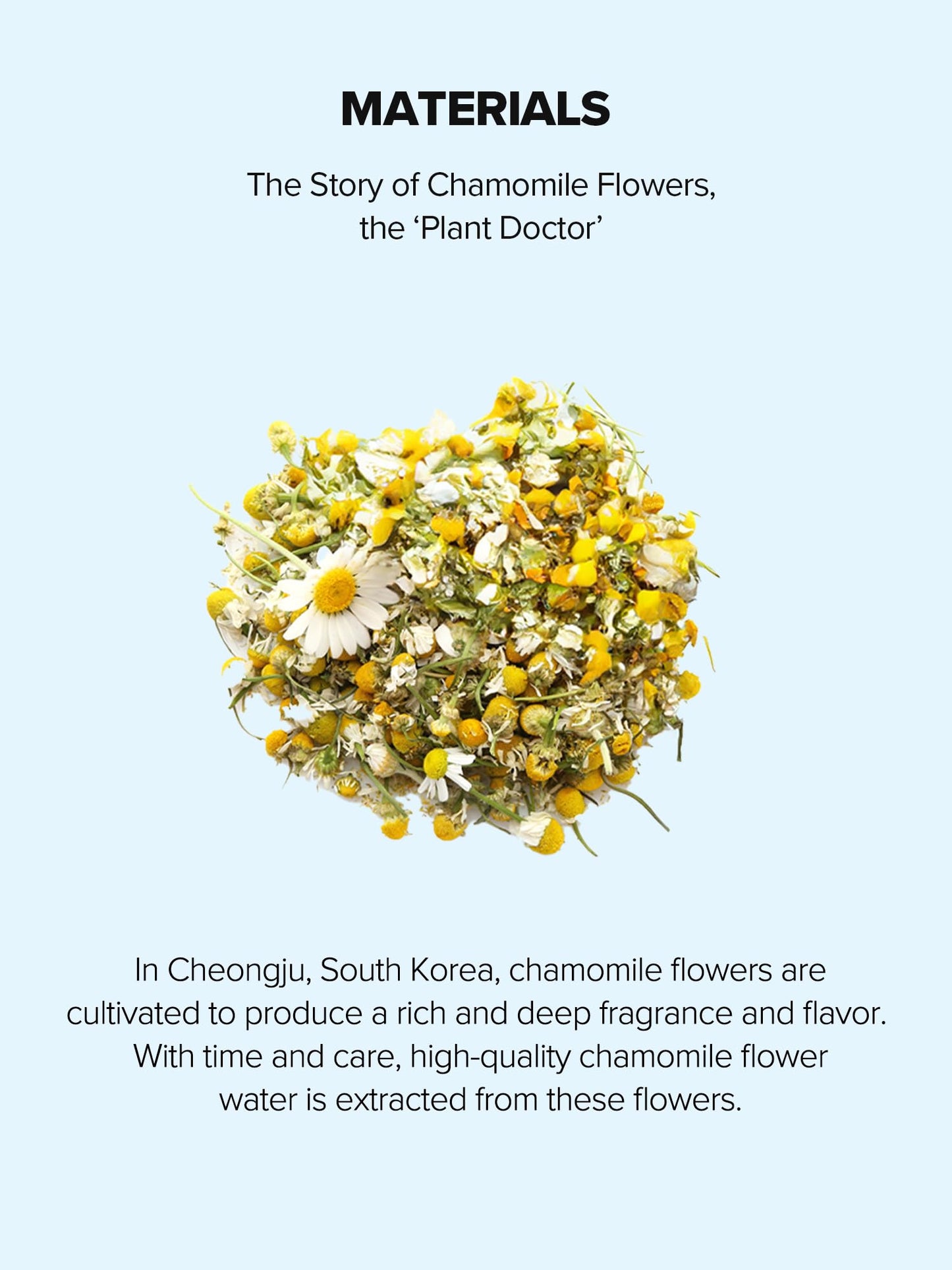 SKINFOOD Blue Chamomile Hyaluronic Ampoule, Korean Skincare Facial Serum for Soothing & Hydrating Skin, Hyaluronic Acid, Chamomile Flower Water, Calming Moisture Boost, 50ml / 1.69 fl.oz.
