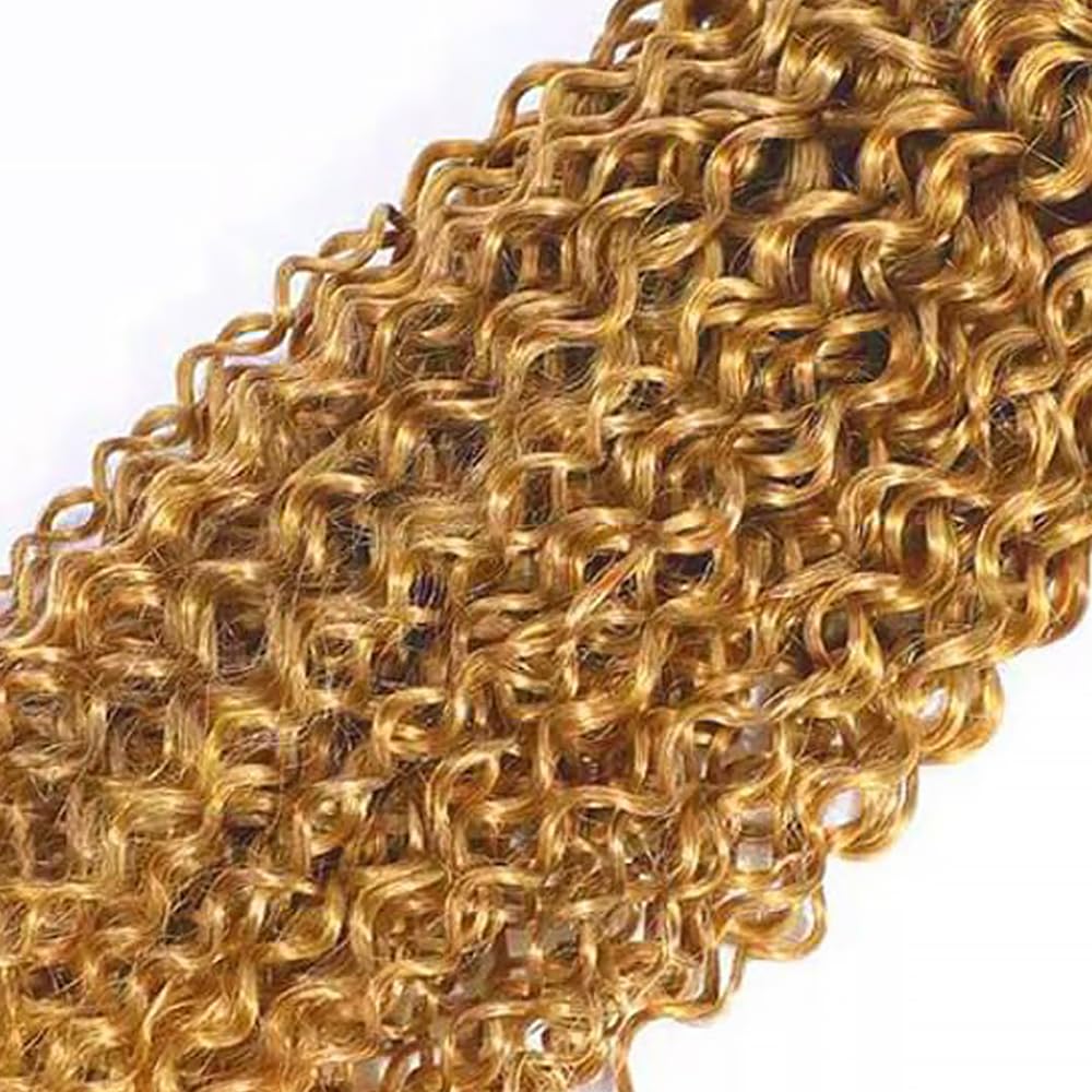 Curly Human Hair Bundles Blonde 26 Inch Kinky Curly #27 Honey Blonde Single Bundle Human Hair Unprocessed Native Virgin Hair 100g Total Double Weft Crochet Human Hair Extensions for Women
