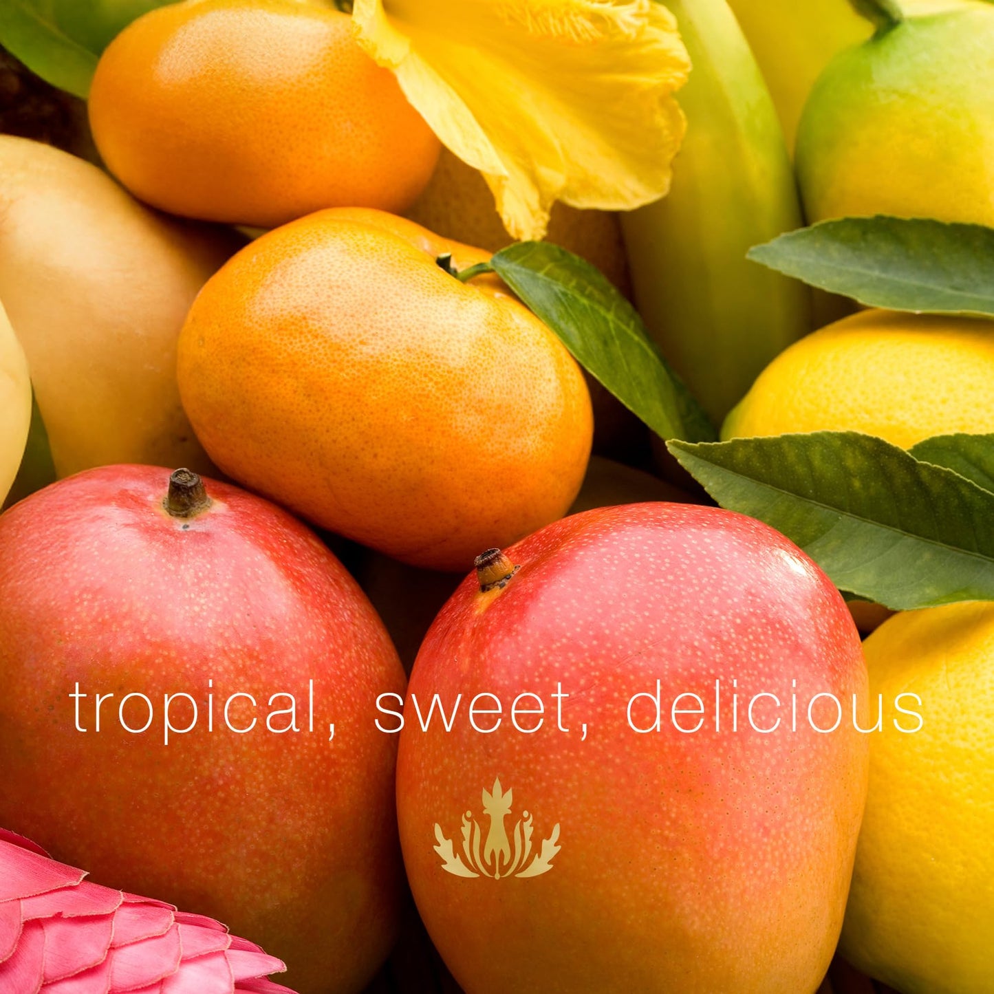 Mālie Organics Body Wash, Mango Nectar Scent, Hydrating Cleanser + Shave Wash, Aloe + Awapuhi + Spirulina, Vegan