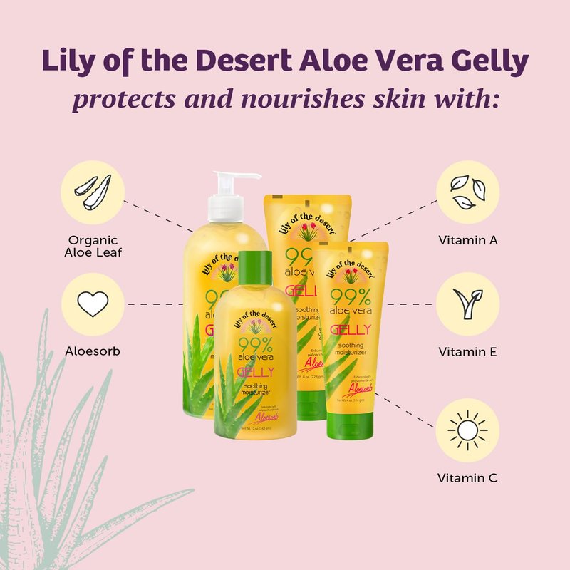 Lily Of The Desert Gelly Moisturizer - 99% Organic Aloe Vera Gel for Skin, After Sun Care with Aloe, Vitamin E Oil, and Vitamin C for Sunburn Relief, 12 Fl Oz (Pack of 2)