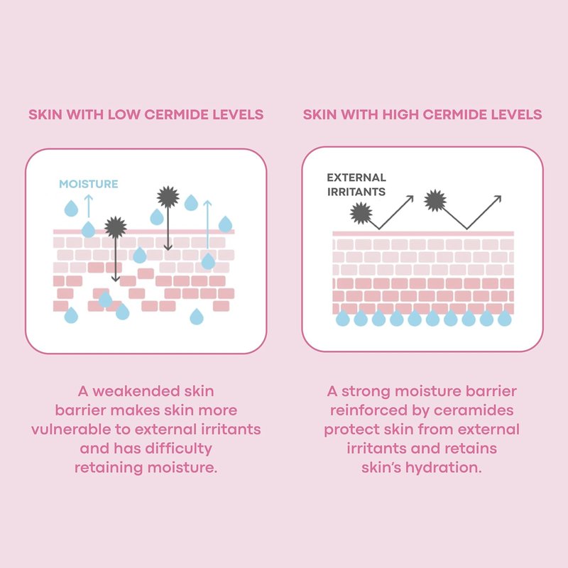 TONYMOLY Wonder Ceramide Mochi Milky Toner - Hydrating Toner for Dry & Sensitive Skin | 16.9 fl oz / 500ml