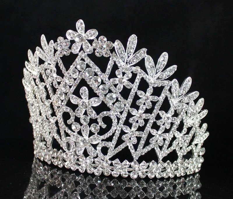 Janefashions Daisy Clear Austrian Crystal Rhinestone Tiara Crown With Hair Combs Wedding Bridal Prom Birthday Party Beauty Contest Pageant T1861 (Silver Plated With Combs)