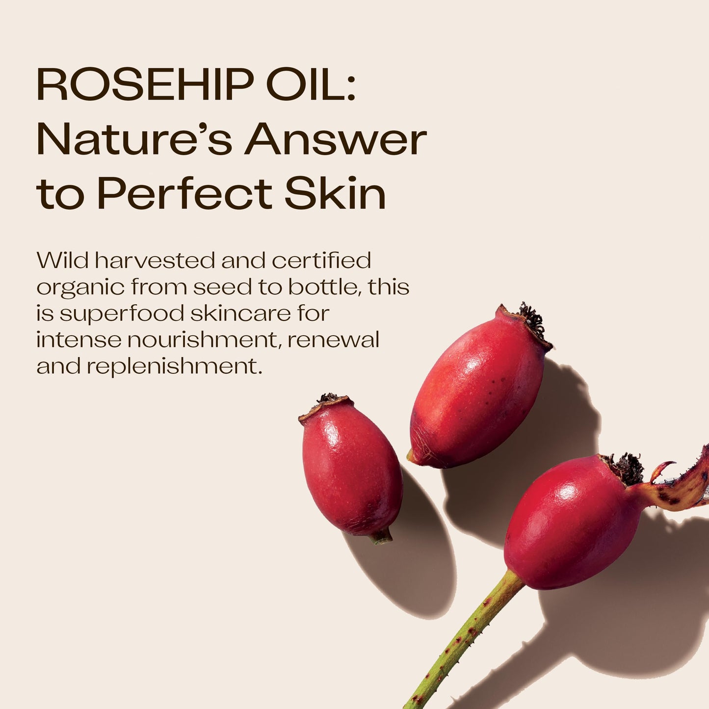 Trilogy Instant Glow Rosehip Oil (30ml) - With Mica and Squalane - Supports Collagen Production, Hydrates and Repairs Improving Skin Texture, Provides Instant Illumination