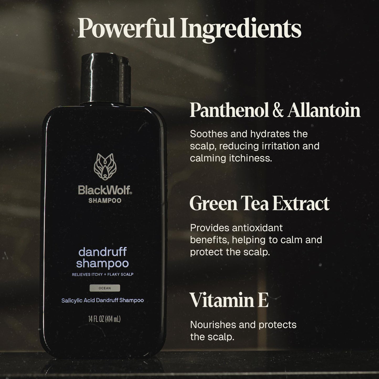 Black Wolf Everyday Men’s Shampoo - Charcoal Powder Cleanses Scalp and Fights Dirty & Greasy Hair - Thick & Rich Lather Daily Shampoo - For All Hair Types