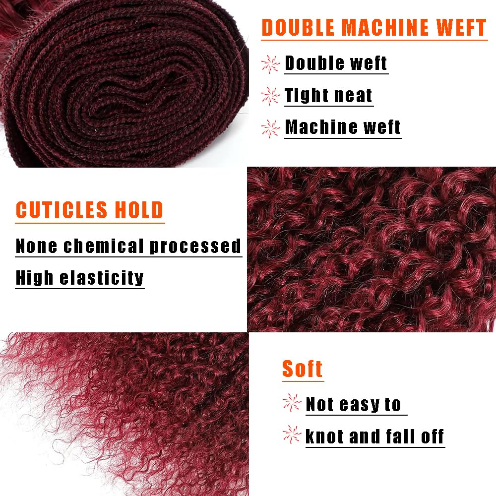 Curly Wave Human Hair Bundles 14 16 18 Inch #99J Burgundy Bundles Human Hair Wine Red 12A Unprocessed Native Virgin Hair 50G Per Bundle 3 Extensions Wet and Wavy Weave for Women