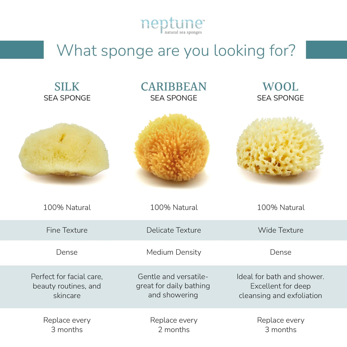 Neptune Sea Wool Sponge, Approx. 8"", 1 Count (Pack of 1), Yellow