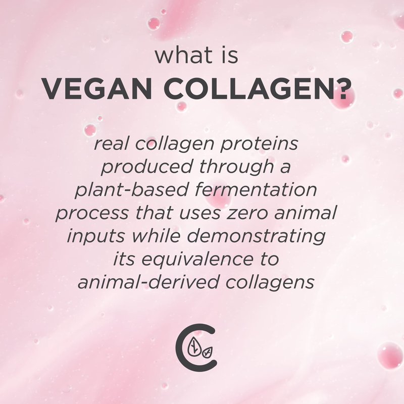 Pacifica Vegan Collagen Overnight Face & Eye Cream Set of 2 – Night Cream + Anti-Aging Lotion - Plumping Collagen Moisturizer & Undereye Treatment Infused w/Hyaluronic Acid & Caffeine Hydrates & Firm