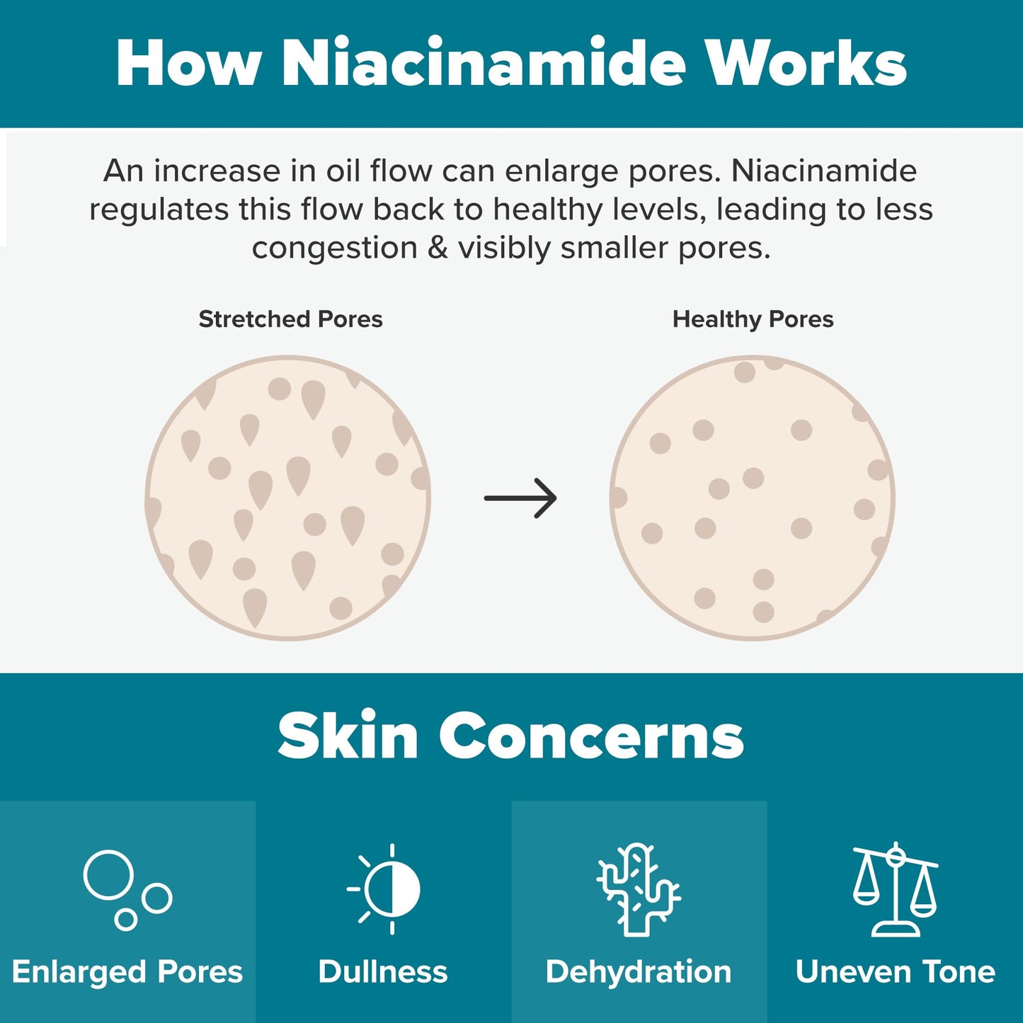 Paula's Choice Skin Balancing Pore-Reducing Face Toner with Niacinamide for Oily & Combination Skin, Minimizes Large Pores, Controls Oil & Shine, Hydrates & Replenishes, Acne-Prone Friendly, 12 Fl Oz