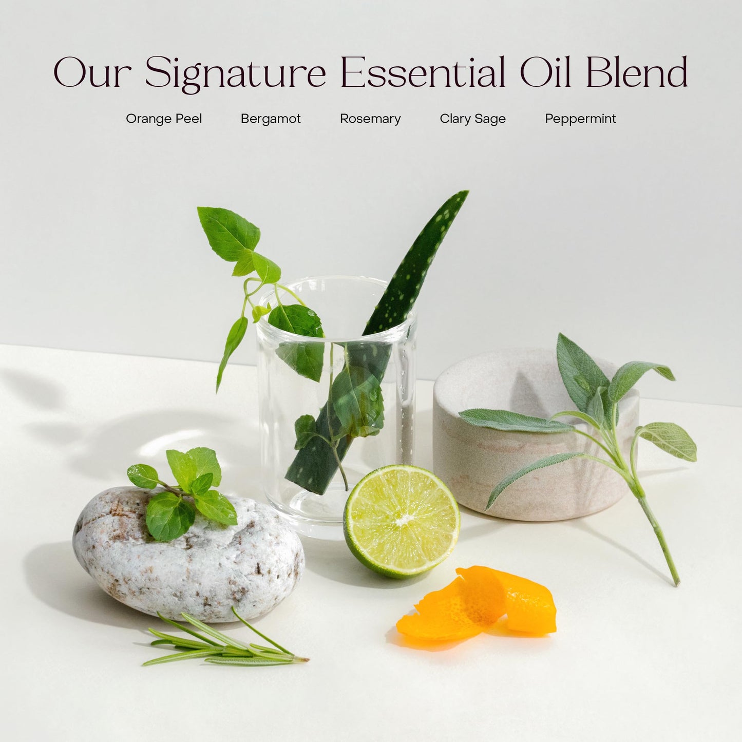 Everist The Hydrating Body Duo, The Body Wash Concentrate Tube 50+ Washes Bundled With The Compostable Konjac Sponge