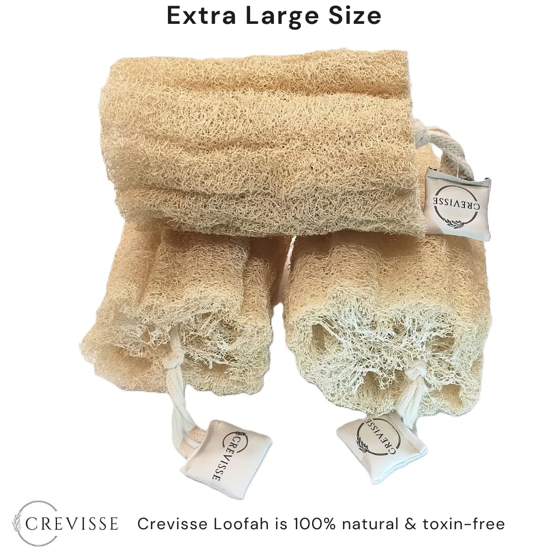 Crevisse Natural Egyptian Loofah Sponge – Exfoliating Shower Body Scrubber (Pack Options) (3 Count (Pack of 1))