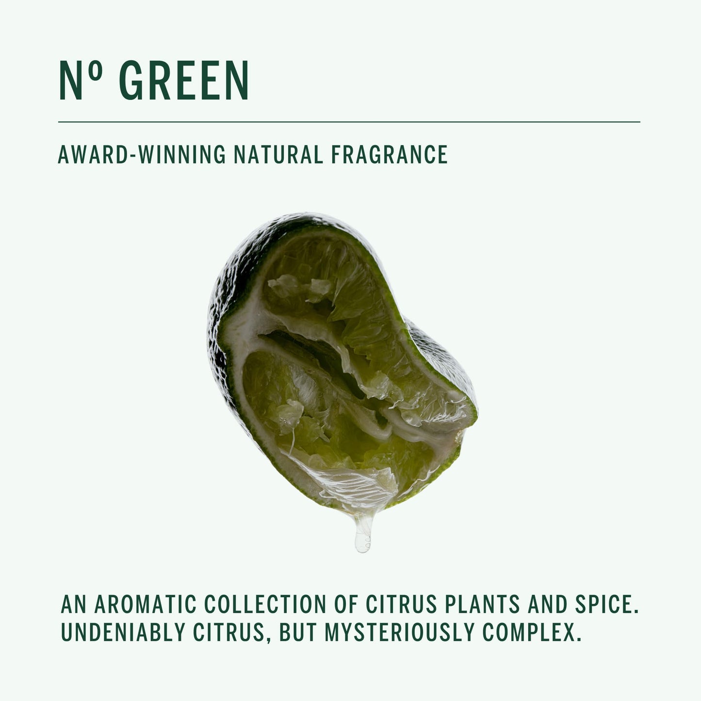 Corpus - Nº GREEN Moisturizing Body Wash (9 fl oz / 266 ml)