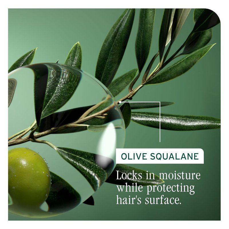 Biolage Strength Recovery Conditioner - Moisturizes & Strengthens Damaged Hair | Vegan Proteins & Olive Squalane, Paraben-Free