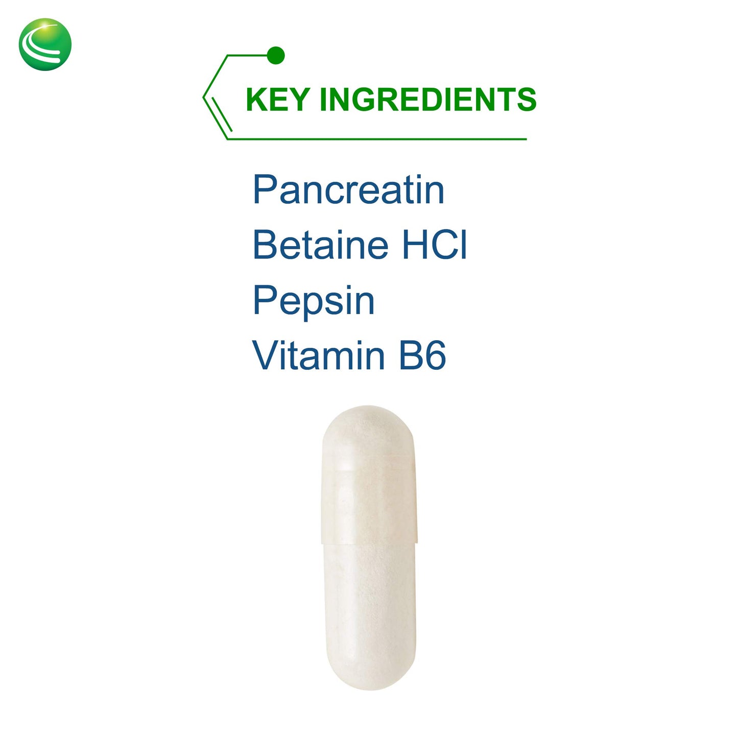 Nutra Biogenesis PanZyme - Betaine HCL with Pepsin, Pancreatin, Lipase and Protease, Cellular Energy, Nervous System and Metabolic Health Support - 180 Capsules