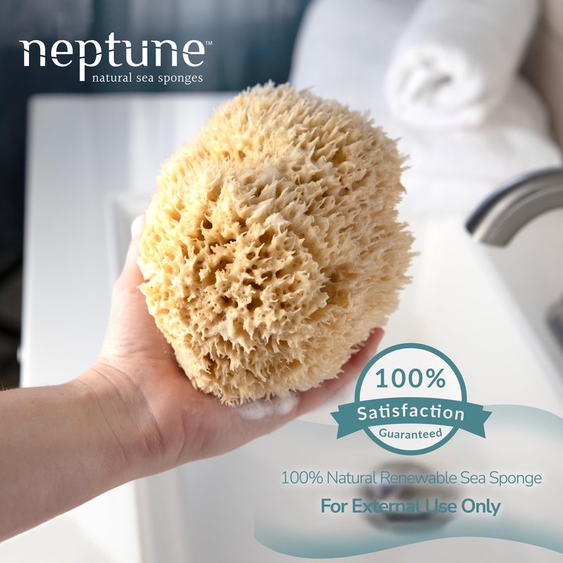 Neptune Sea Wool Sponge, Approx. 8"", 1 Count (Pack of 1), Yellow