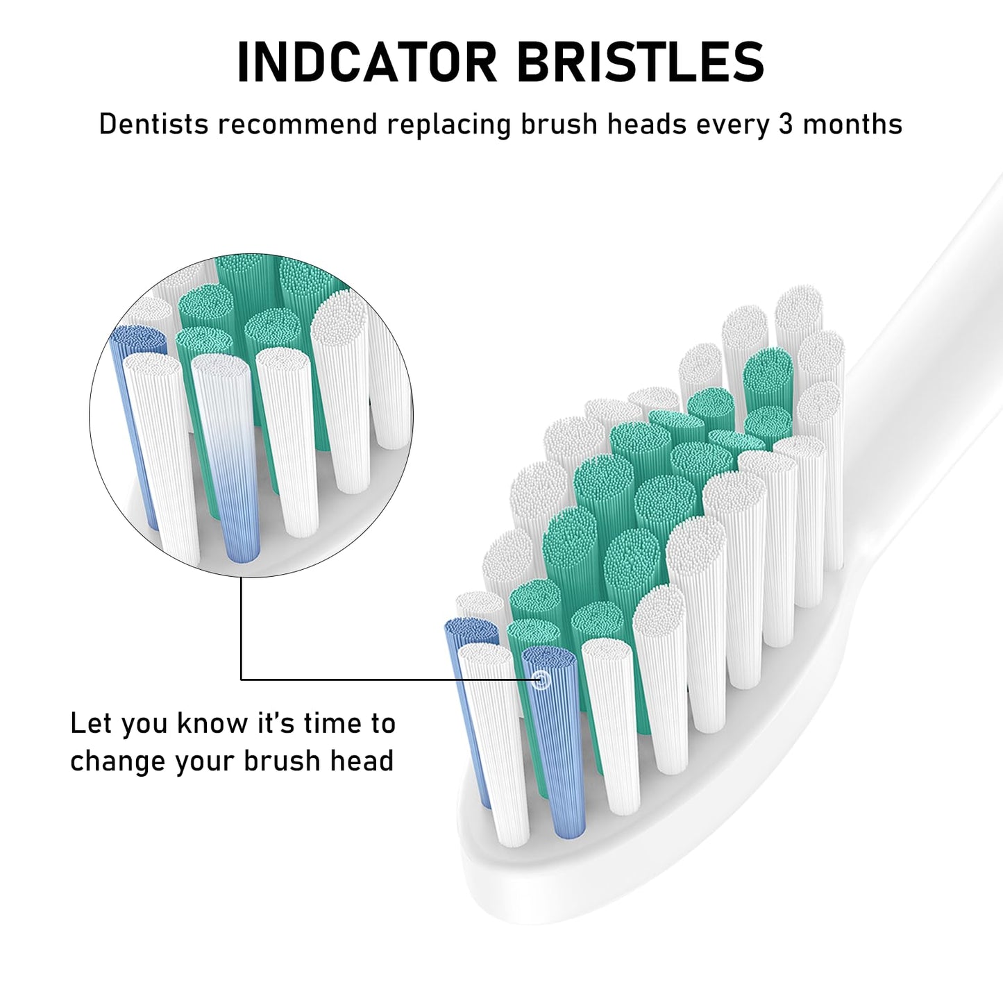 Toothbrush Heads, 8 Pack Electric Toothbrush Replacement Heads for Philips Sonicare Soft Dupont Bristles Replacement Toothbrush Heads for Oral Care
