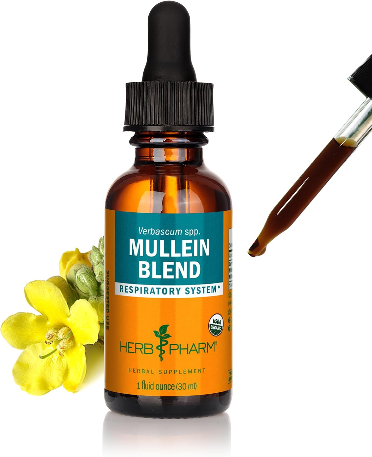 Mullein Blend - Organic Respiratory Support & Expectorant | Fast-Absorbing 1 oz