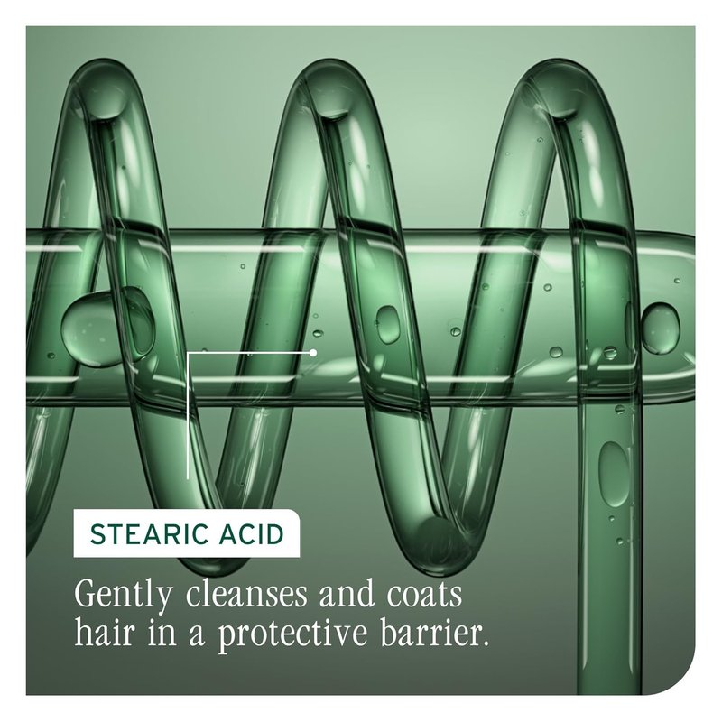 Biolage Color Last Conditioner - Vegan Hydrating Formula for Color-Treated Hair | Repairs Damage & Adds Shine