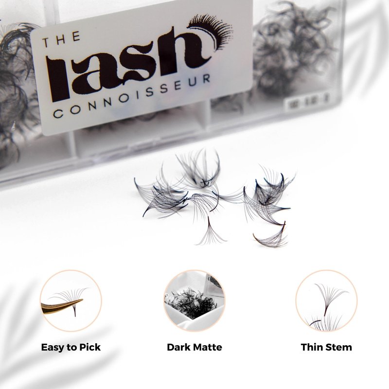 8D - D Curl 750 Fans Mixed Promade Fans Lash Extensions | TLC Lash Supplies 4D to 16D Premade Fans 7 mm to 16 mm Mixed Length Thin Base Premade Fans Eyelash Extensions (8D - D Curl, 8-9-10 mm)