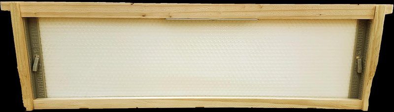 Anthony's Beehive | Wire-Free Beeswax Foundation Gripper - 60 Pack for Shallow Langstroth Frames
