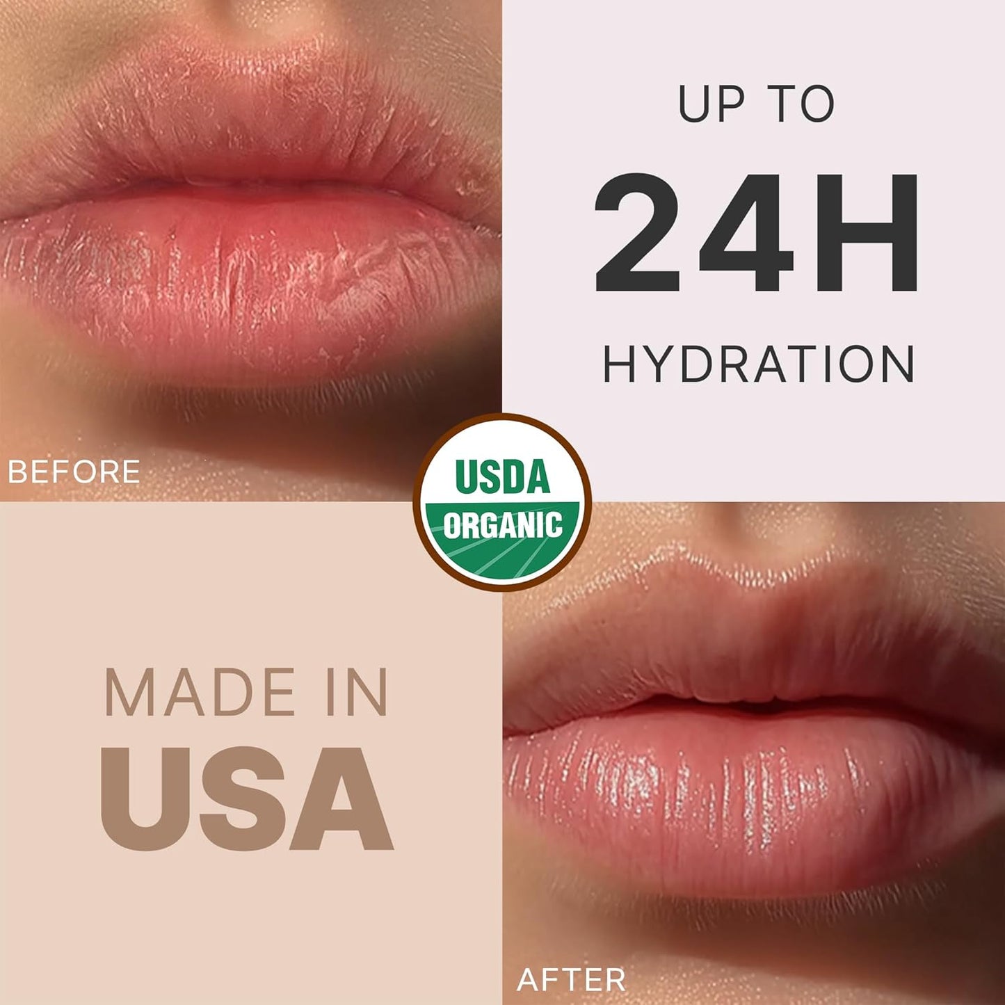 Organic Lip Balm - USDA Certified Natural Ingredients | 12-Pack (6 Flavors) - Moisturizing Beeswax & Coconut Oil for Dry Lips