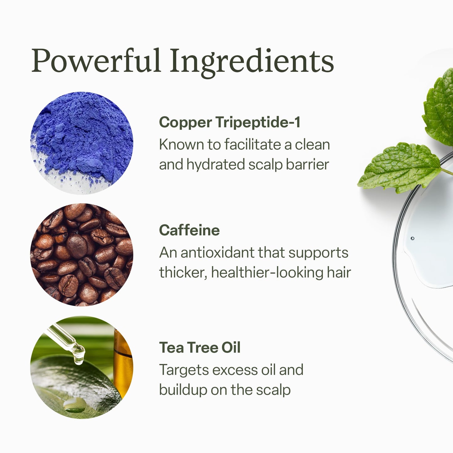 Divi Hair Scalp Serum for Women and Men - Revitalize and Balance Your Scalp - Improves Appearance of Thinning Hair, Nourishes the Scalp and Helps Remove Product and Oil Buildup, 100ml
