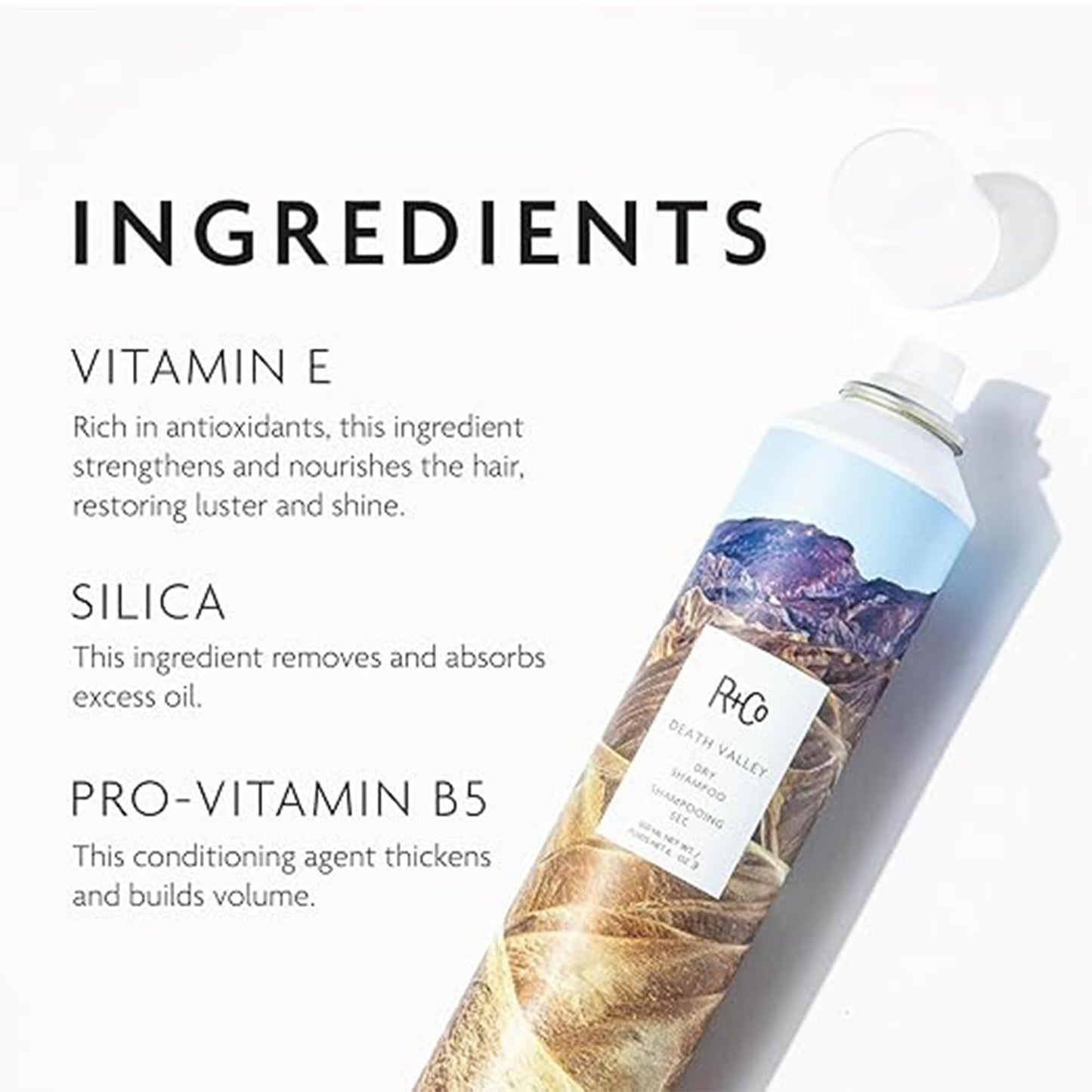 R+Co Death Valley Dry Shampoo | Adds Volume, Body and Absorbs Oil & Adds Texture | Vegan, Gluten-Free & No Parabens | 6 Ounce (Pack of 1)