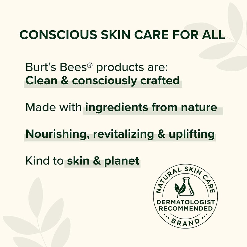 Burt's Bees Lip Balm Gift Set - Classic Beeswax Lip Balms | 4-Pack, 0.15 oz Each