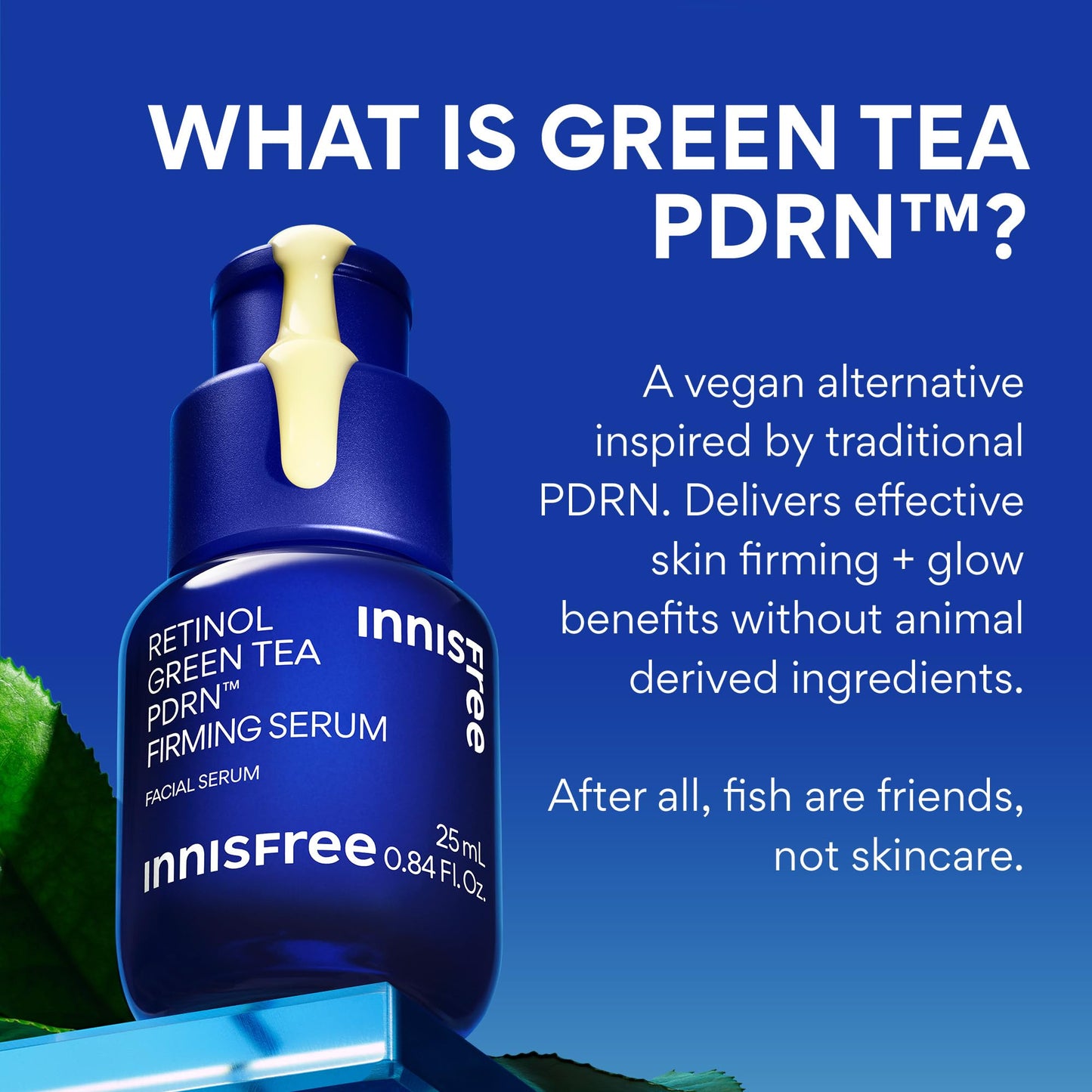 innisfree Green Tea PDRN Serum Jumbo | Korean Skincare with Retinol and Hyaluronic Acid for Hydrating, Anti‑Aging Care and Wrinkles | Suitable for Acne‑Prone and Sensitive Skin | Available in Gift Set