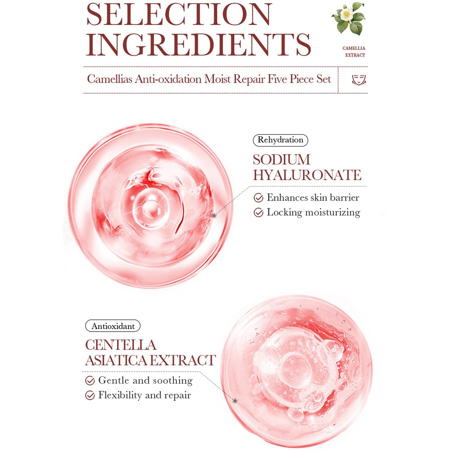 BIOAQUA Camellias Anti-Oxidation Moist Repair Toner Essence Face Cream Cleanser Lotion Camelia Flower Extract Serum Nourishing Emollient Moisturizing Skin Gift Box 100ml+30ml+50g+80g+100ml 5PCS Set