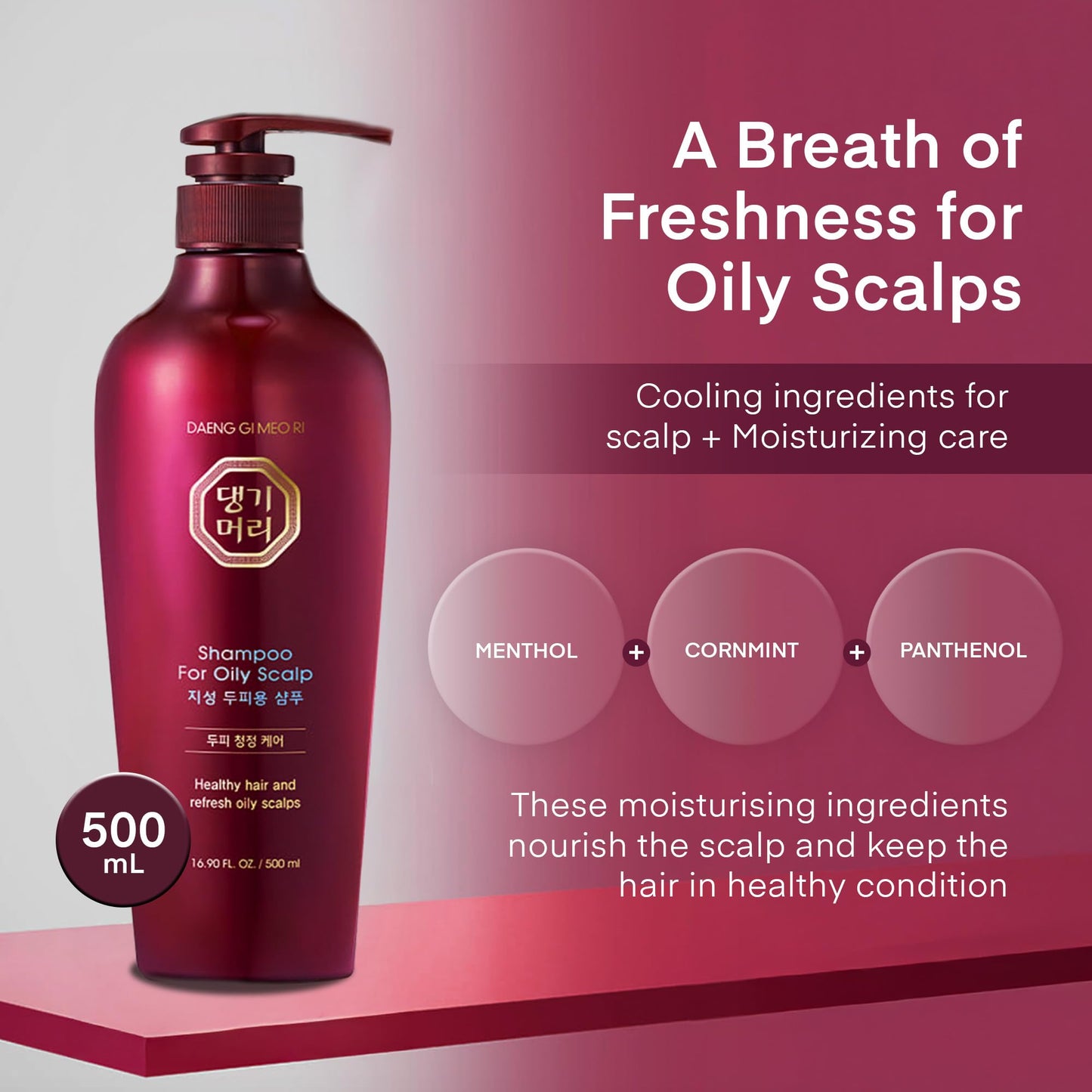 Daeng Gi Meo Ri- Oily Scalp Care Shampoo & Conditioner Set, Refreshing and Strengthening the Oily Scalp, Reducing Dandruff, Nourishing and Promoting Hair Growth,16.9 fl oz (500ml) Each