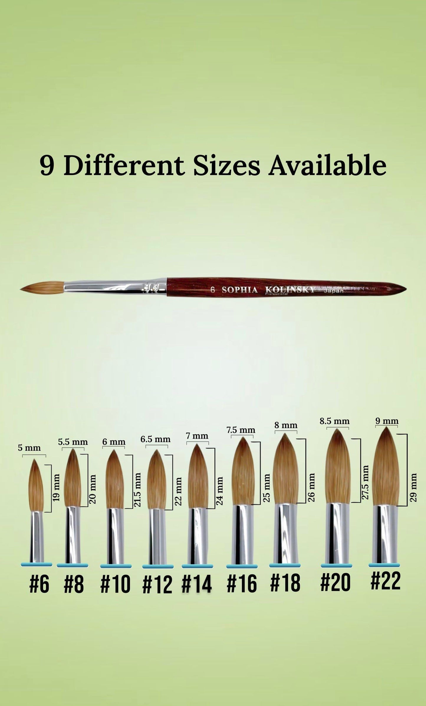 Sophia kolinsky Acrylic Nail Brush Pure Kolinsky Hair Round Shape Redwood handle Size #6 to #22 Pick Your Size (SIZE #8)