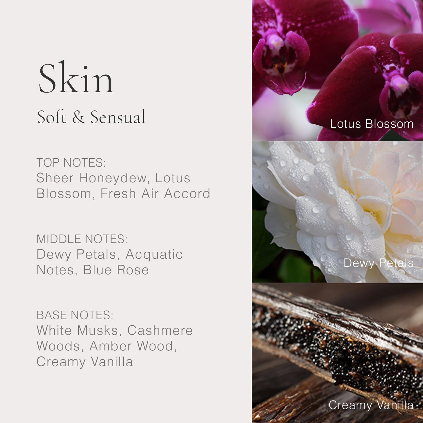 CLEAN CLASSIC Skin 10ML Rollerball