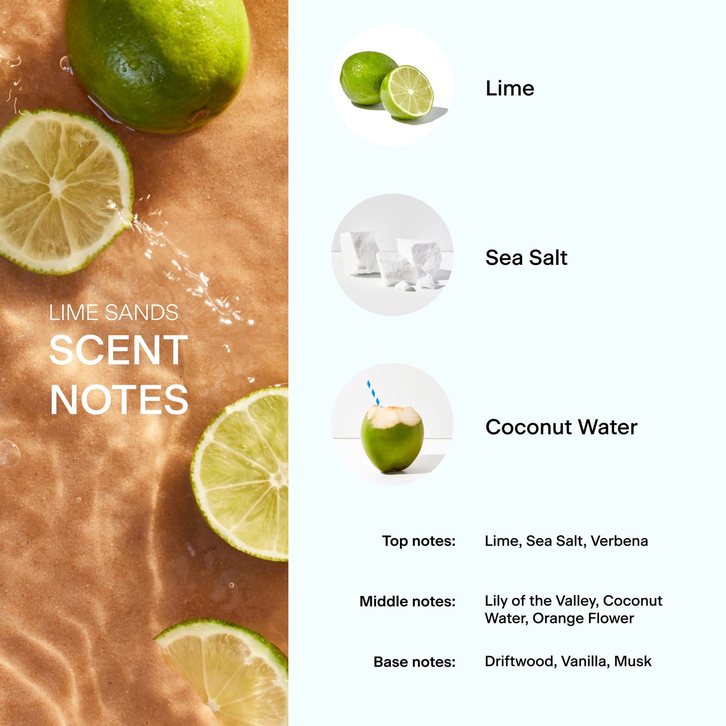 Skylar Lime Sands Eau de Parfum - Hypoallergenic & Clean Perfume Women & Men, Vegan & Safe for Sensitive Skin - Woody Citrus Perfume with Notes of Lime, Sea Salt & Coconut Water - (10mL /0.33 Fl oz)