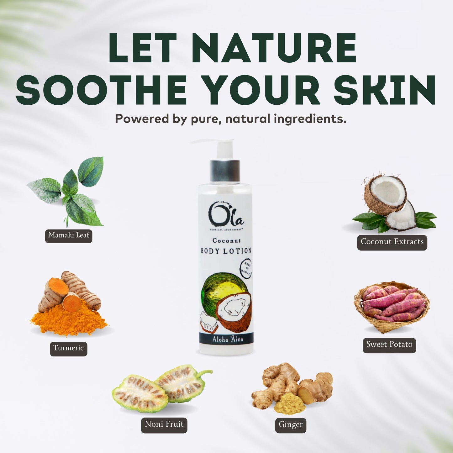 OLA TROPICAL APOTHECARY Coconut Body Lotion with Pure Tropical Oils and Plant Extracts - 8.45 Fl Oz