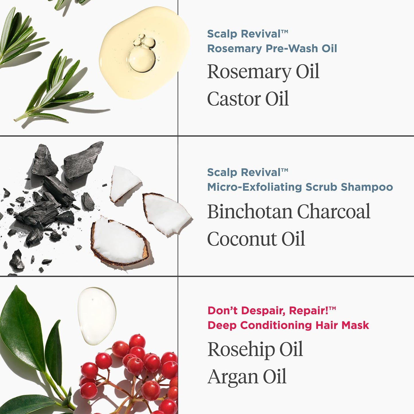 Briogeo Healthy Hair Delights Holiday Kit | Clean Hair Repair Gift Set for All Hair Types | Deep Conditioning Mask, Scalp Scrub & Rosemary Pre-Wash Oil | Vegan & Cruelty-Free