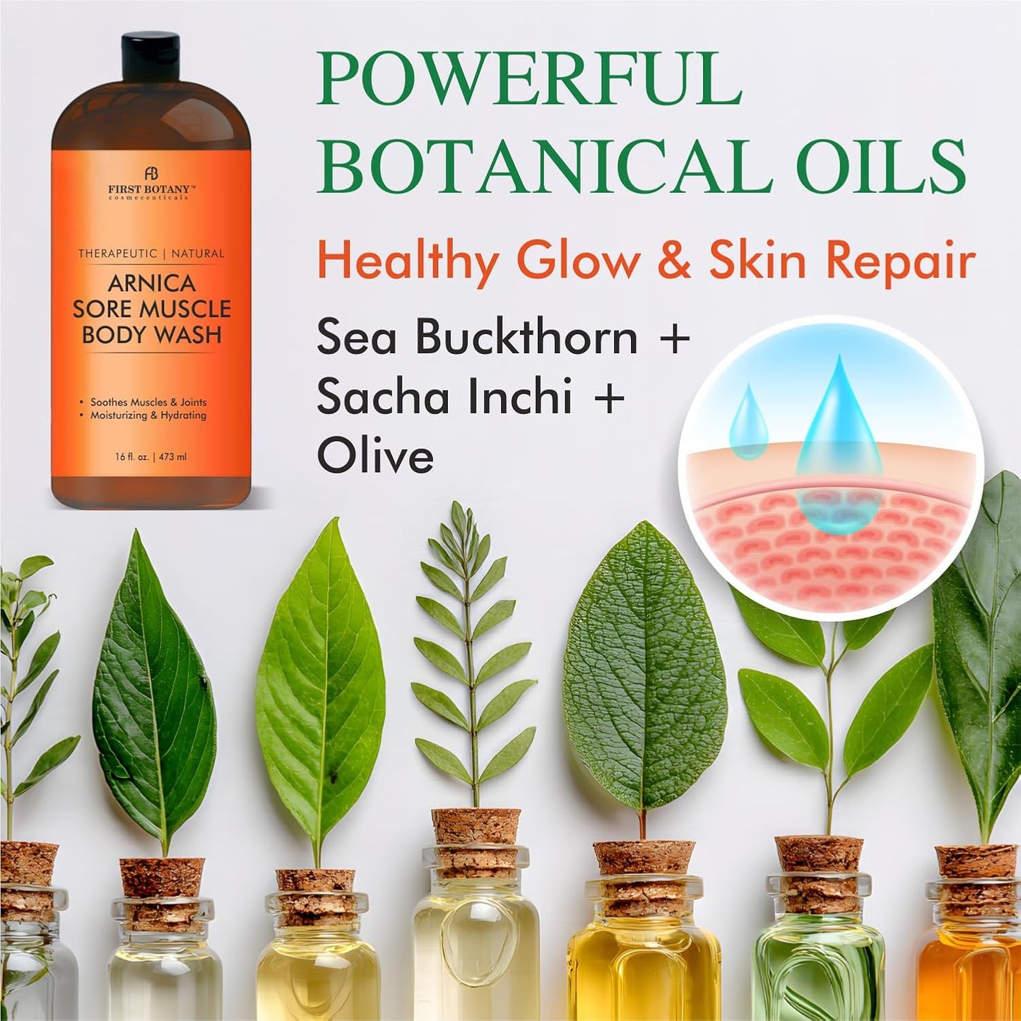 Natural Body Wash - All-Natural Skin Cleanser for Body Odor, Athlete's Foot, Jock Itch, and More | 16 fl oz (Arnica)