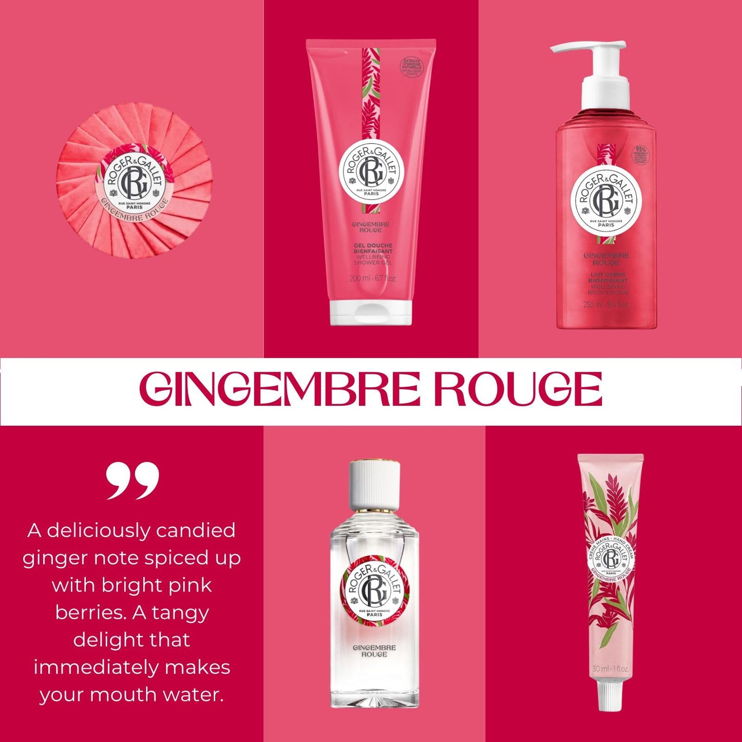 ROGER & GALLET Wellbeing Shower Gel – Plant-Based Hydrating Body Wash with Aloe Vera, Gentle Foaming Cleanser for Soft Skin (Gingembre Rouge - Red Ginger | 6.7 Oz)