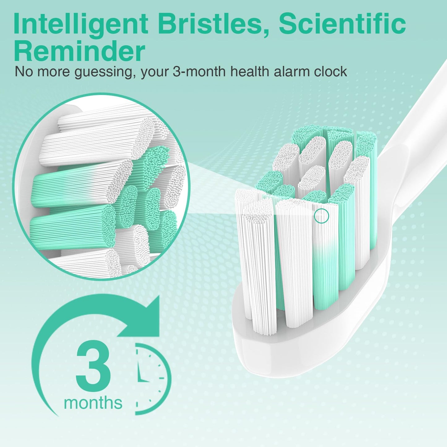 Aoremon Replacement Heads for Philips Sonicare C2 W, 8 Count White