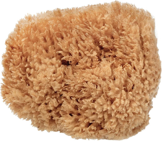 Natural Sea Sponge - Premium Exfoliating Sponge for Sensitive Skin | 12.5-14cm, Sustainably Harvested