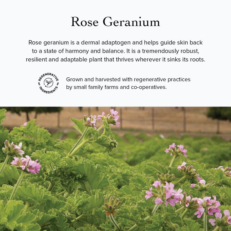 Evanhealy Rose Geranium HydroSoul - Organic Balancing Face Toner | Astringent Hydrosol for All Skin Types
