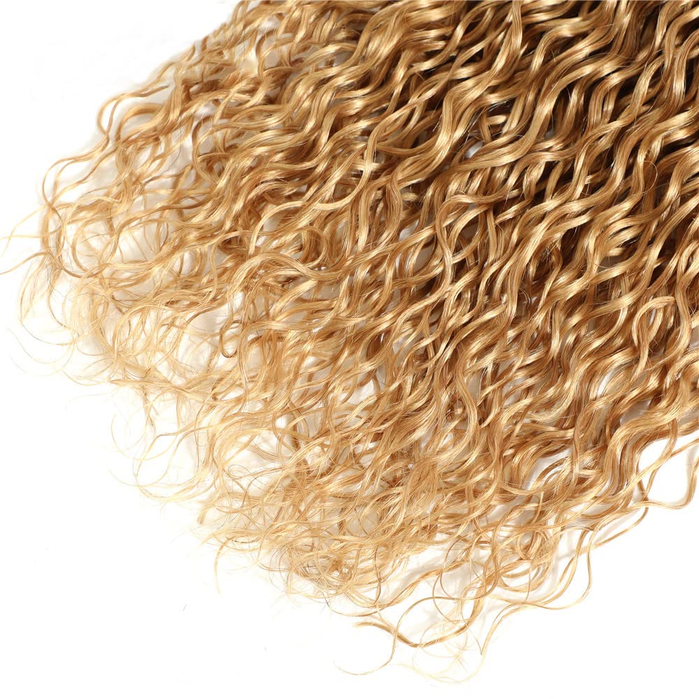 Blonde Bundles Color 27 Human Hair Honey Blonde Kinky Curly Human Hair Weave No Tangle Hair Extensions For Women Brazilian Unprocessed Virgin Hair 8 10 12 Inch