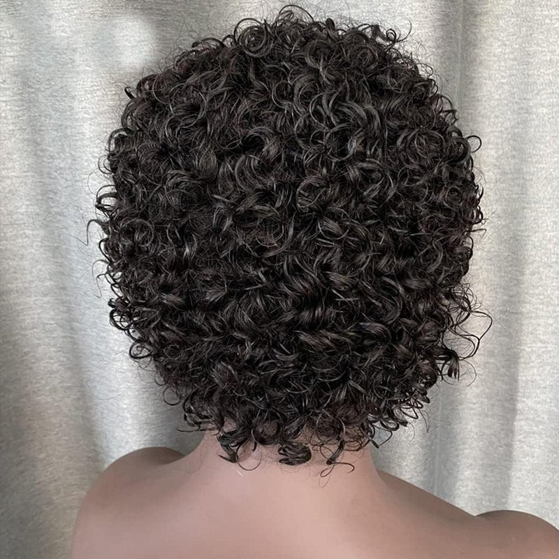 Pixie Cut Curly 13x1 Transparent HD Lace Front Wigs Human Hair Pre Plucked Hairline Short Curly Glueless Lace Front Wigs for Black Women Brazilian Virgin Hair 150% Density Natural Color 6 Inch