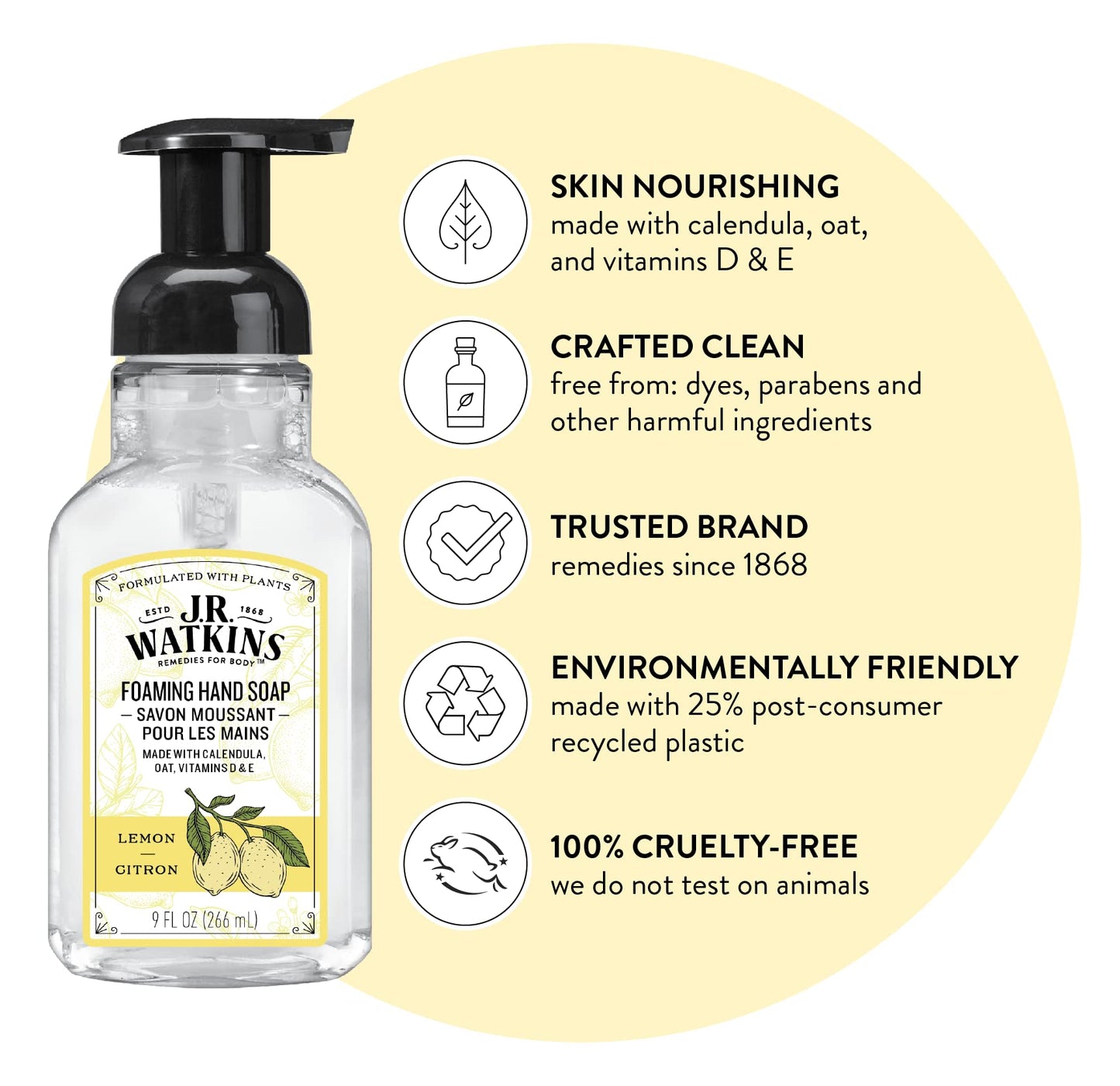 J.R. Watkins Foaming Hand Soap with Pump Dispenser, Moisturizing Foam Hand Wash, All Natural & Foaming Hand Soap with Pump Dispenser, Moisturizing Foam Hand Wash, All Natural