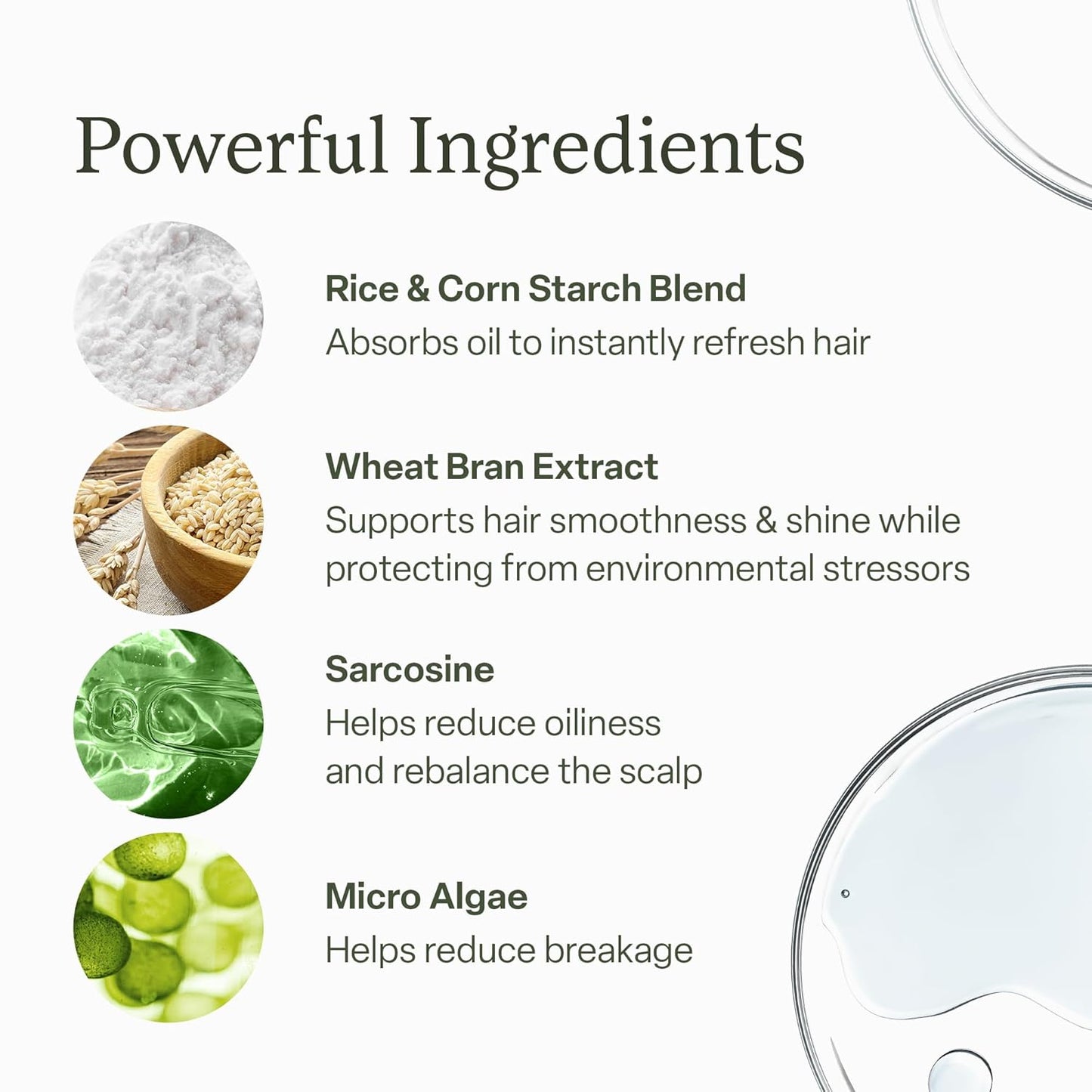 Divi Dry Shampoo Spray for Women - Oil Absorbing Formula | Scalp Balancing, 5.3oz