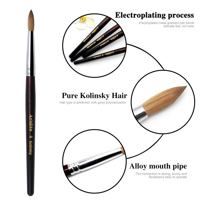 Aridito Round Head Kolinsky Acrylic Nail Brush Red Wine Color Wooden Handle For Professional Manicure DIY Home Salon （Size 8/10/12/14/16/18） (16# Kolinsky)