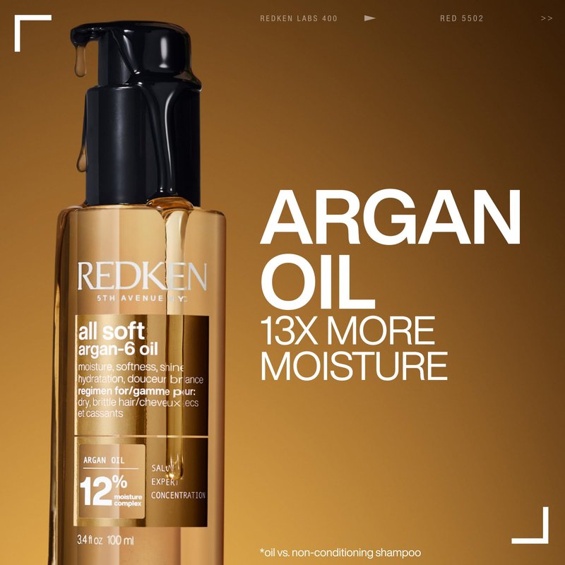 Redken All Soft Argan-6 Oil Treatment For Dry Hair - Deeply Conditions Hair, Adds Softness and Shine With Argan Oil