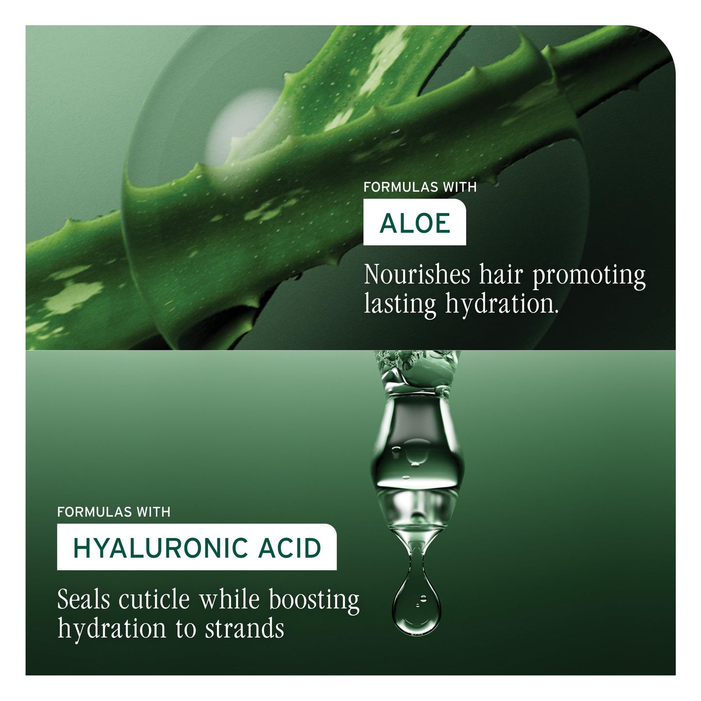 Biolage Hydra Source Conditioning Balm - For Fine To Medium Dry Hair, Moisturizes, Detangles & Adds Softness, Infused with Fermented Aloe & Micro-Filtered Hyaluronic Acid, Vegan & Paraben-Free