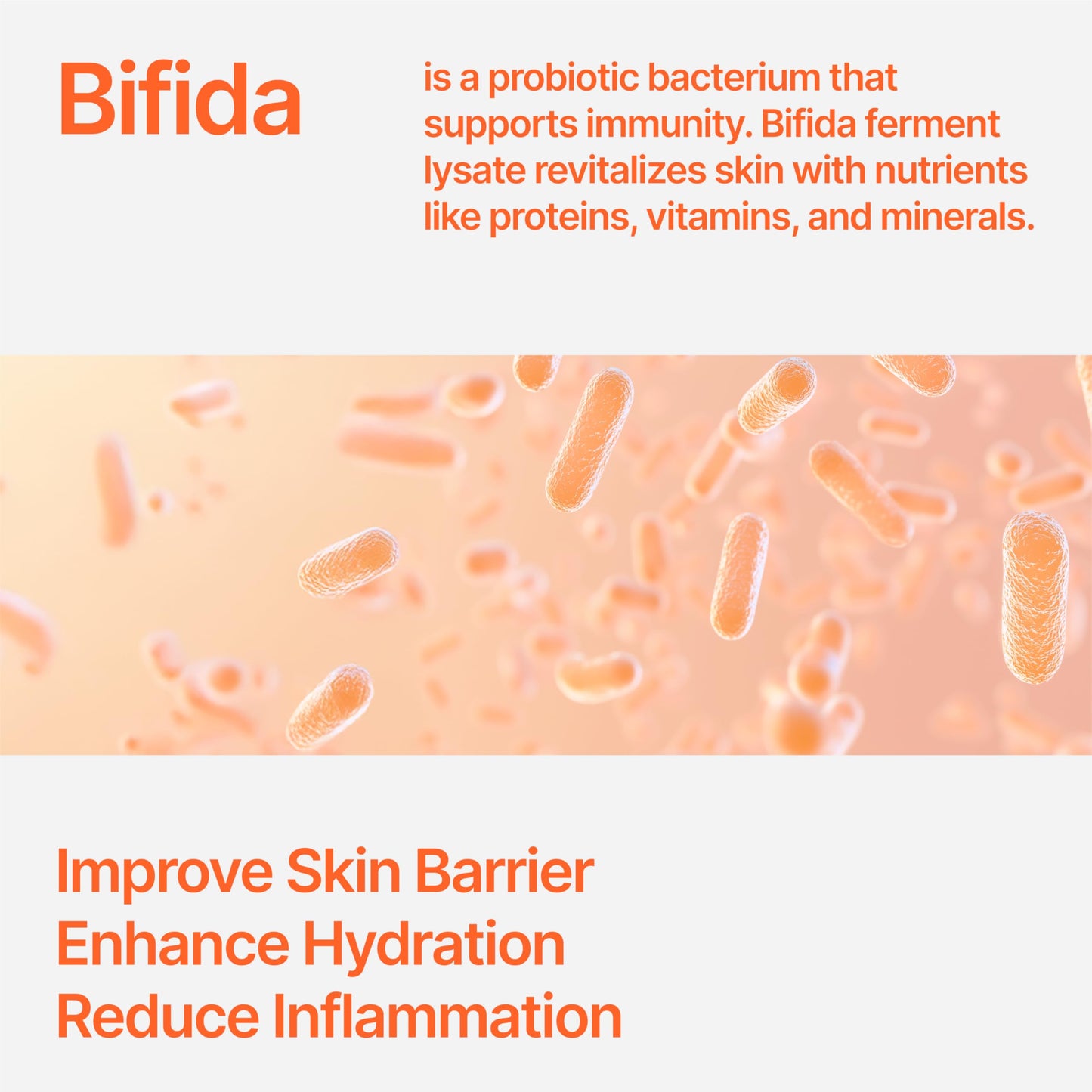 CU DR. SOLUTION Bifida Barrier Cream, Moisturizing CUSKIN Korean Moisturizer Skincare with Ceramide NP, Squalane, and Hyaluronic Acid for Hydration and Skin Elasticity, 50ml (1.69 Fl. Oz.)